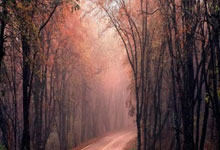 满冠体育官网:北京全场领先浙江26个篮板,三分命中率仅18%最终14分落败.