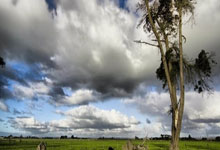 英超-萨拉赫双响 利物浦3-2客胜南安普敦8分领跑.